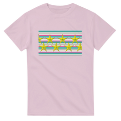 Pastel pink women's T-shirt with a pastel stripe panel and gold star graphic for a cute retro aesthetic.
