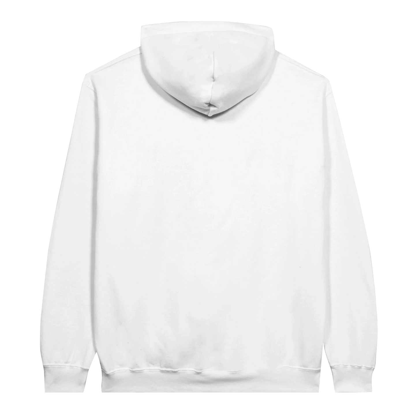 White women's Y2K Paradise Hoodie back view, plain pullover hooded sweatshirt.
