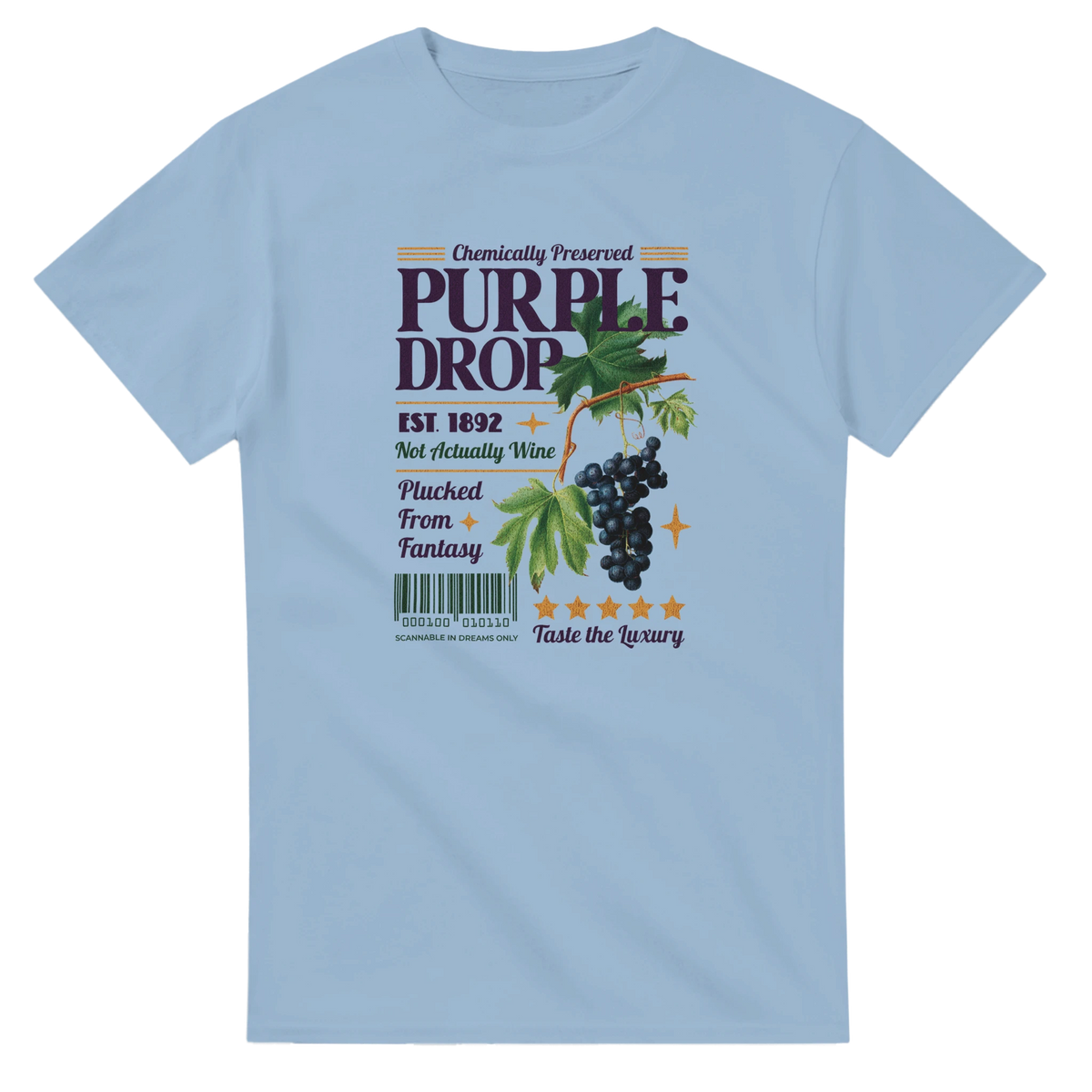 Vintage purple grape graphic tee for women, retro fruit tee with grape vines on light blue shirt.
