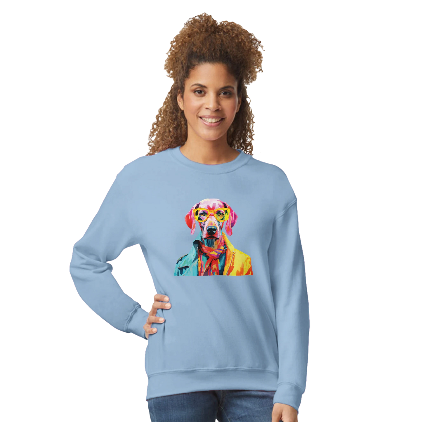 Light blue Gent Dog Jumper women's graphic sweatshirt featuring a colorful dog wearing glasses.