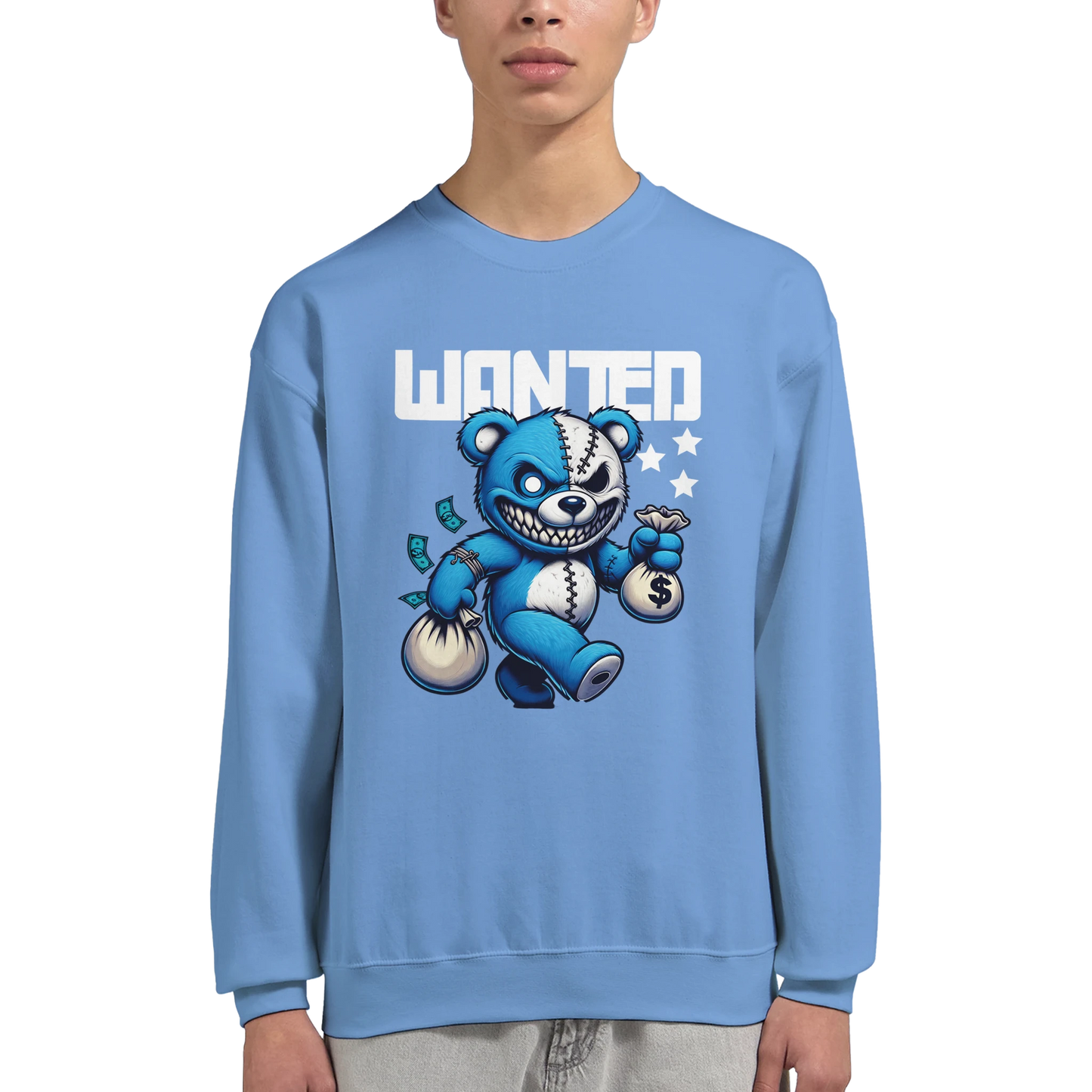 Person wearing a blue men's graphic sweatshirt with a graphic design of a bear and text on a white background