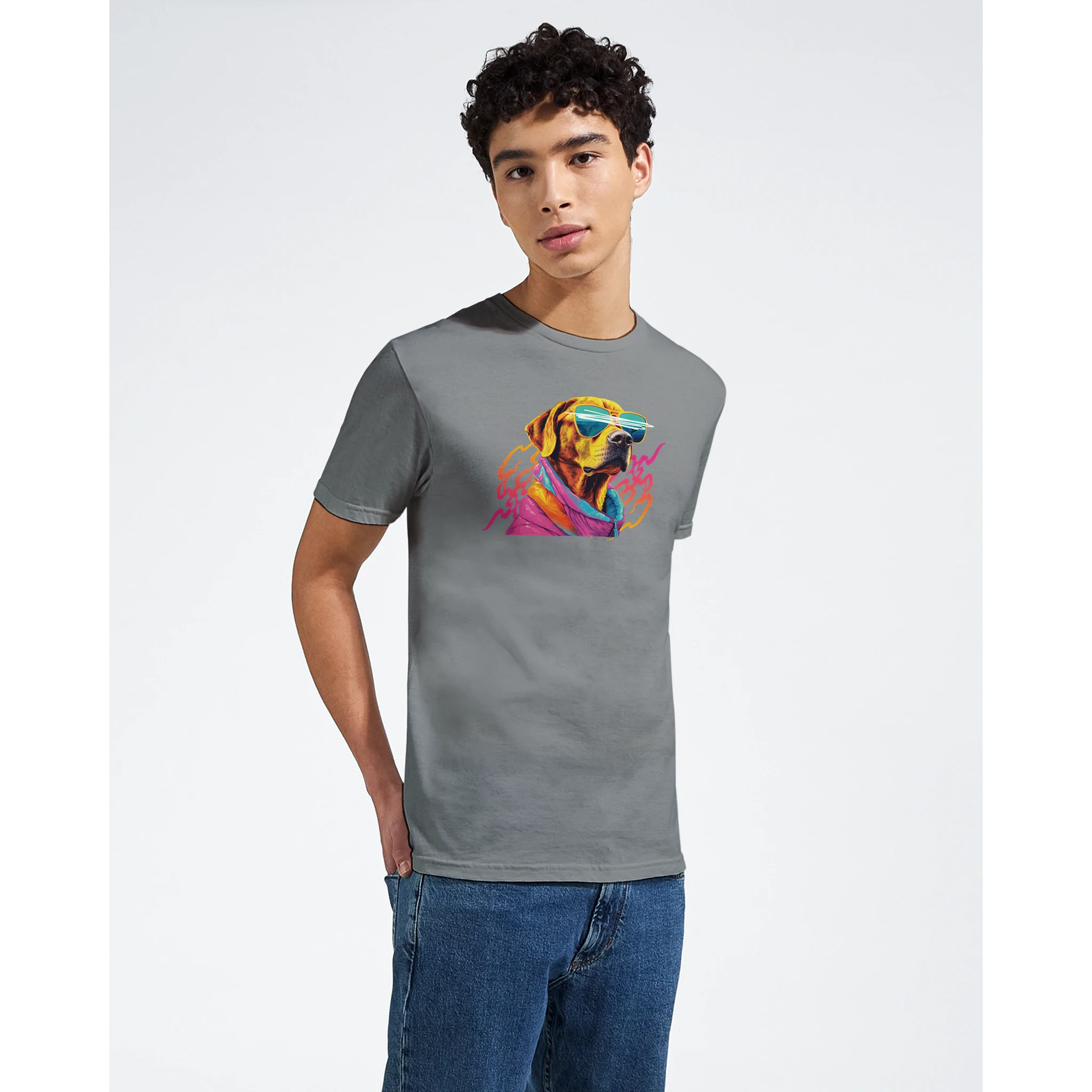 Male model wearing a gray graphic tee featuring a colorful dog with sunglasses.