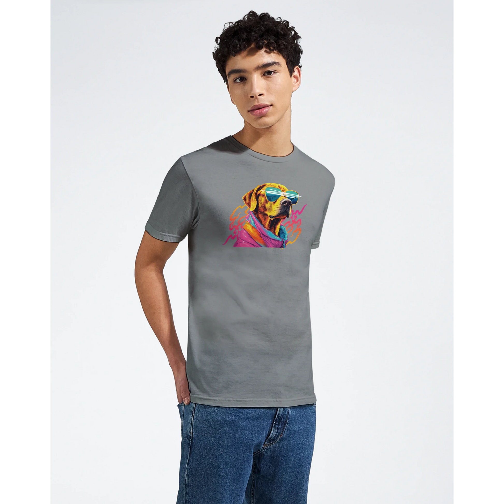 Male model wearing a gray graphic tee featuring a colorful dog with sunglasses.