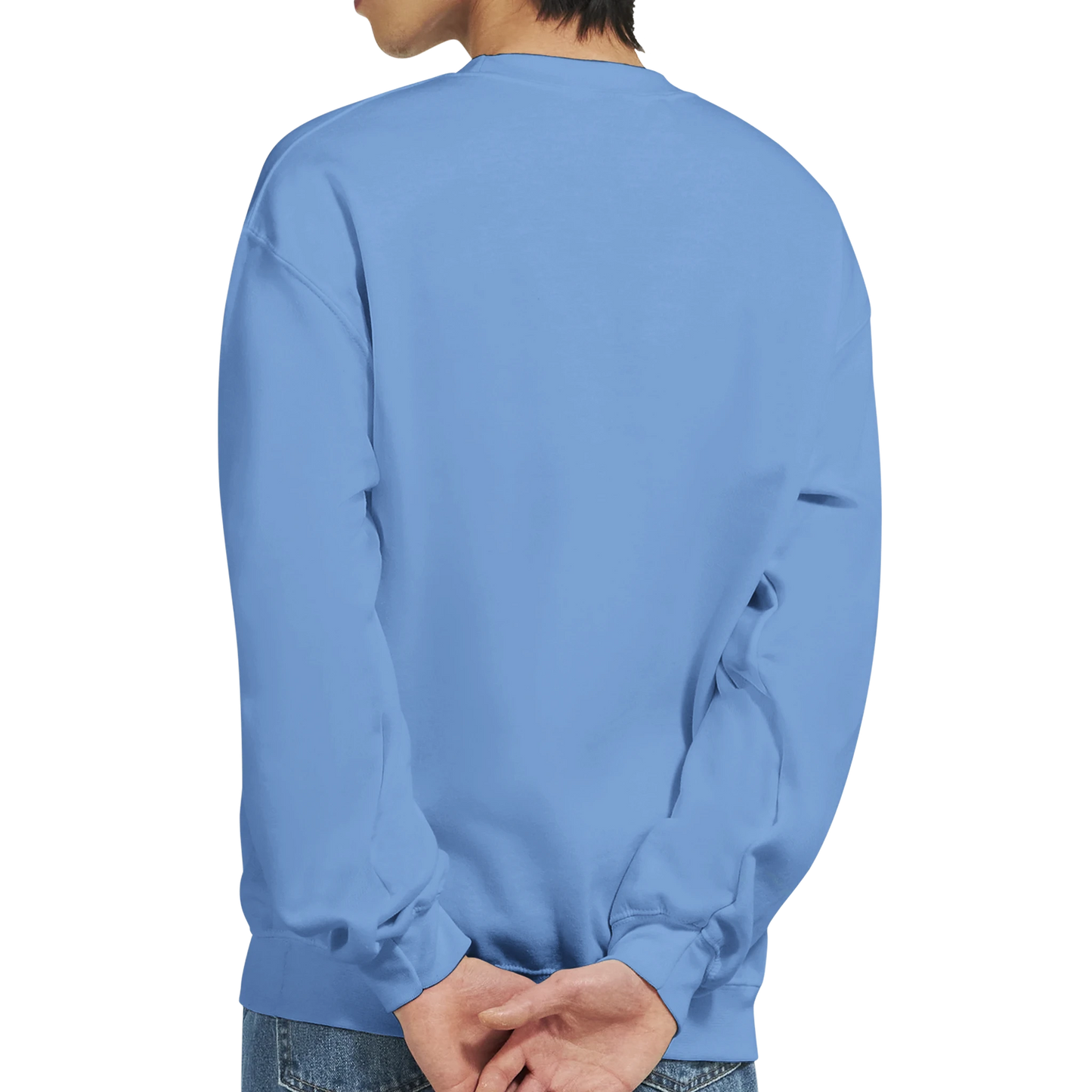 Blue men's graphic sweatshirt worn by a person on a white background